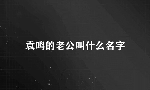 袁鸣的老公叫什么名字