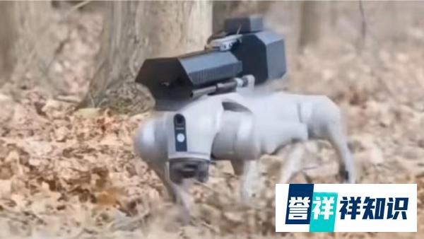 中国军演“机器狗”火了！美网友质问美军：为何美国没这些装备？