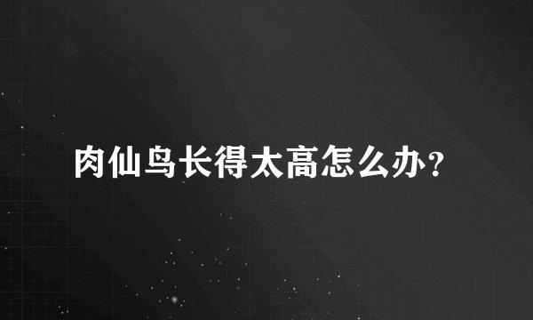 肉仙鸟长得太高怎么办？