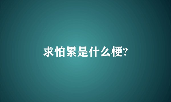 求怕累是什么梗?