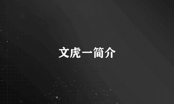 文虎一简介