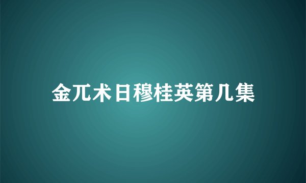 金兀术日穆桂英第几集