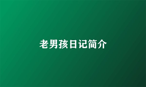 老男孩日记简介