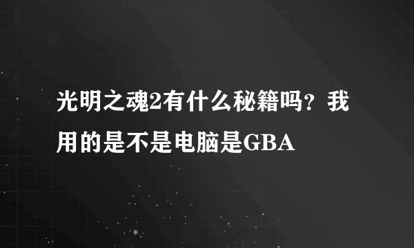 光明之魂2有什么秘籍吗？我用的是不是电脑是GBA