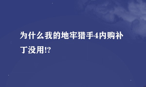 为什么我的地牢猎手4内购补丁没用!?