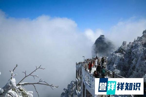 6月份张家界热吗？热或不热？一文告诉你所有答案！