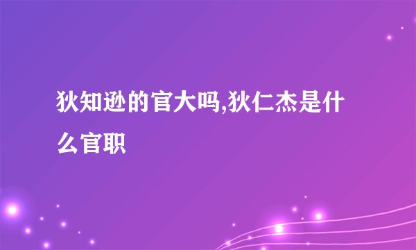 狄知逊的官大吗,狄仁杰是什么官职
