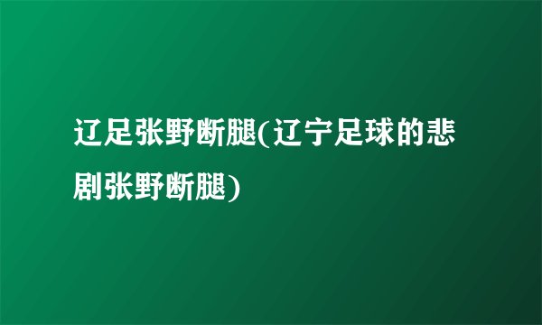 辽足张野断腿(辽宁足球的悲剧张野断腿)