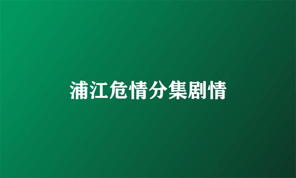 浦江危情分集剧情