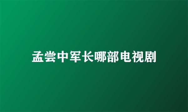 孟尝中军长哪部电视剧