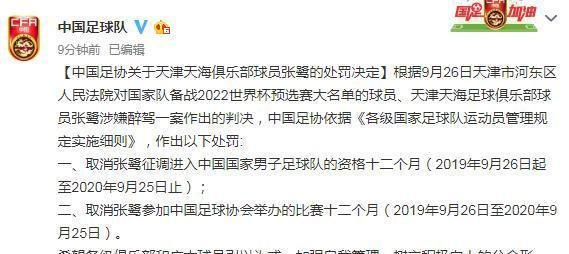 张鹭被取消进入国家队资格1年并禁赛1年，国足领队刘殿秋致歉