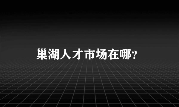 巢湖人才市场在哪？