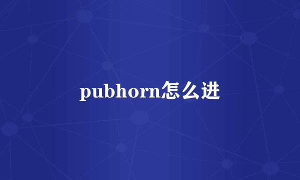 pubhorn怎么进