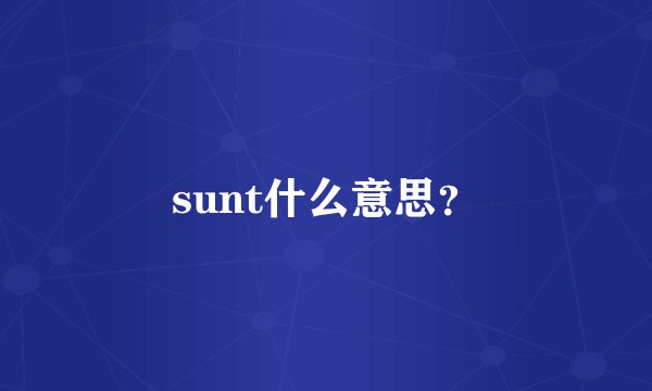 sunt什么意思？