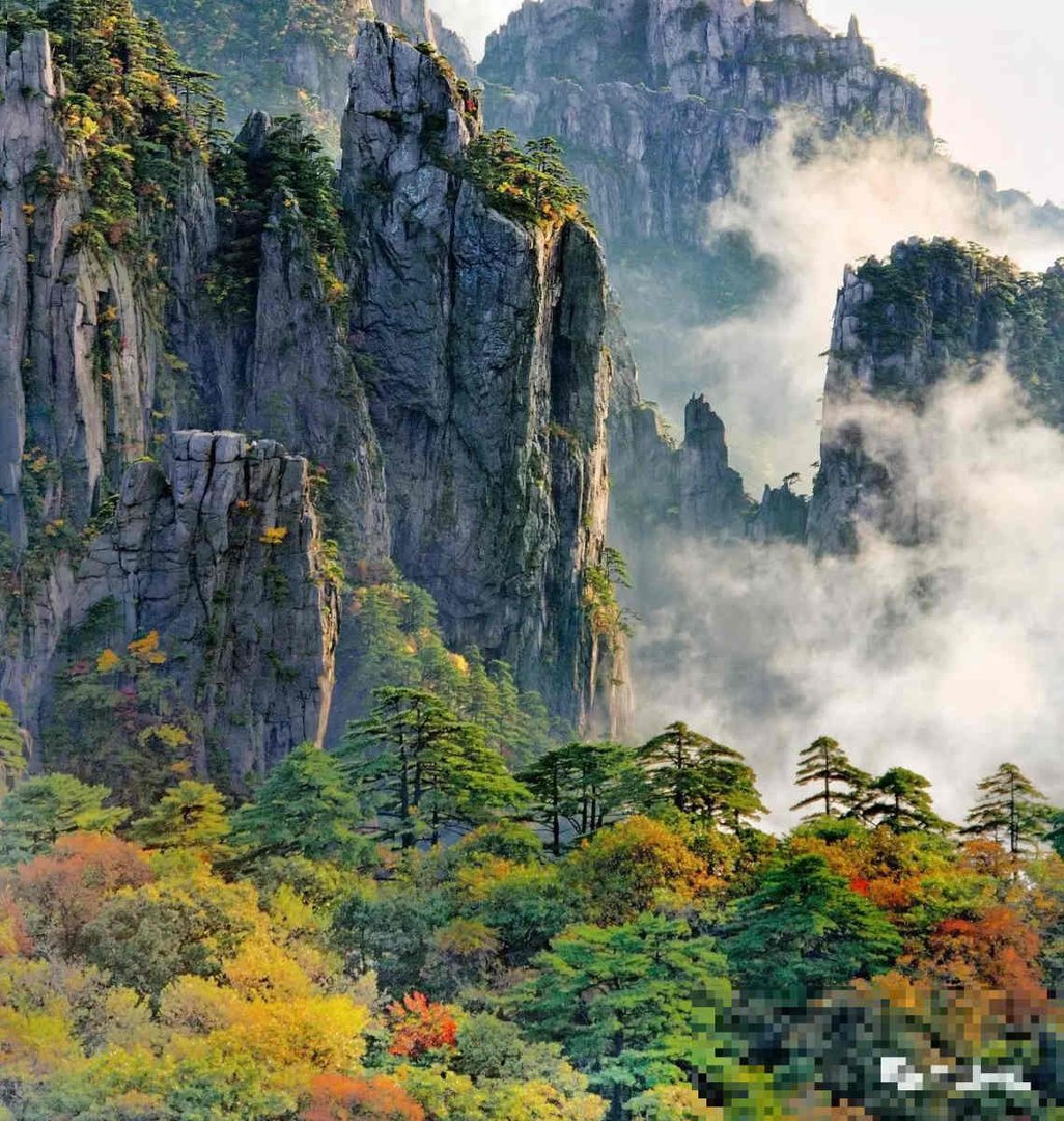 黄山白鹅山庄在什么位置