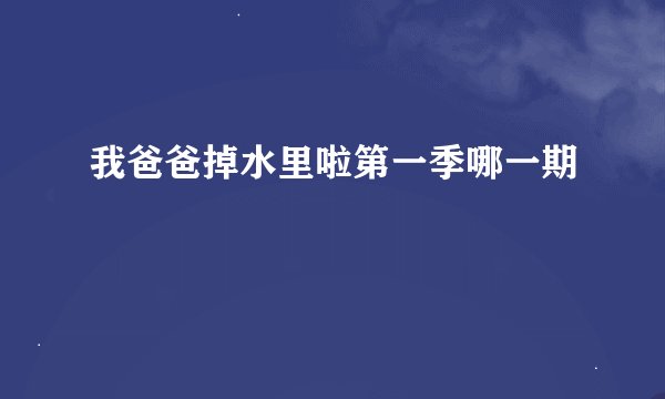 我爸爸掉水里啦第一季哪一期