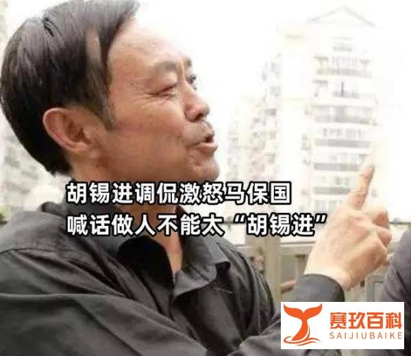 胡锡进：叼盘术,三次经典调和与时代困局