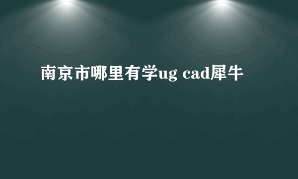 南京市哪里有学ug cad犀牛