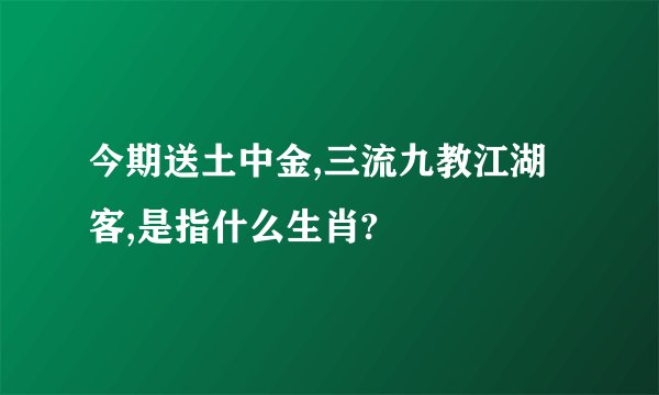 今期送土中金,三流九教江湖客,是指什么生肖?