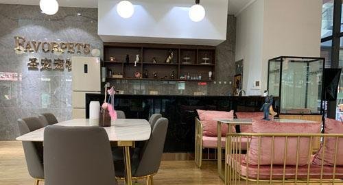 开一家宠物店需要多少资金
