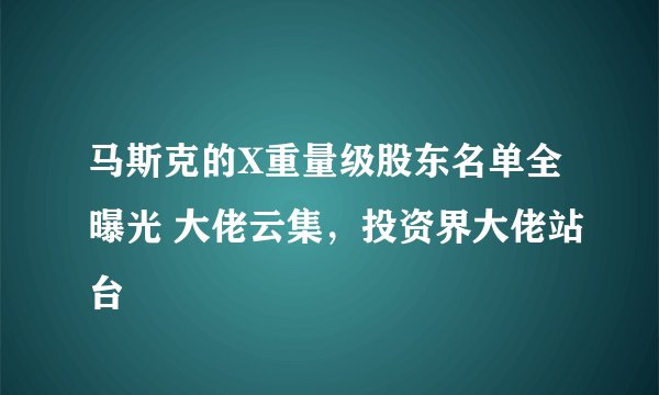 马斯克的X重量级股东名单全曝光 大佬云集，投资界大佬站台