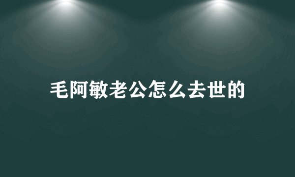 毛阿敏老公怎么去世的