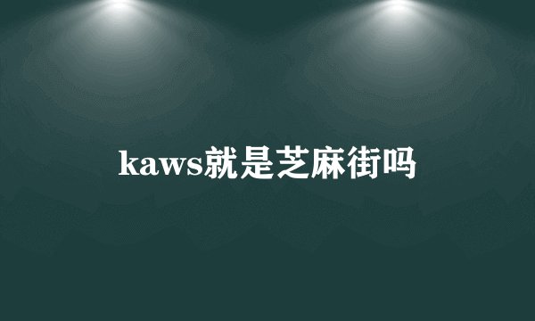 kaws就是芝麻街吗