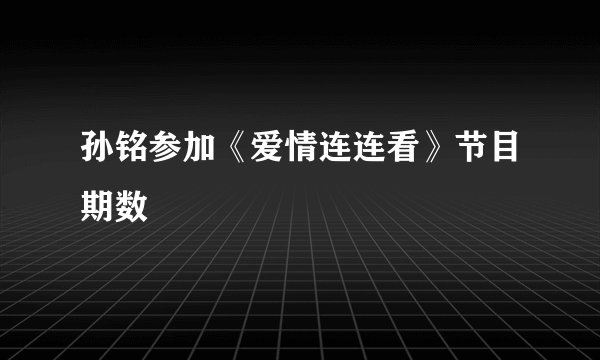 孙铭参加《爱情连连看》节目期数