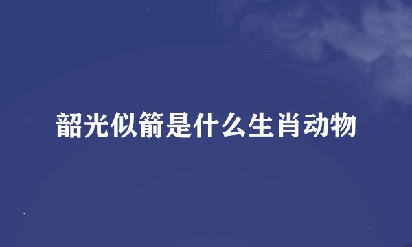 韶光似箭是什么生肖动物