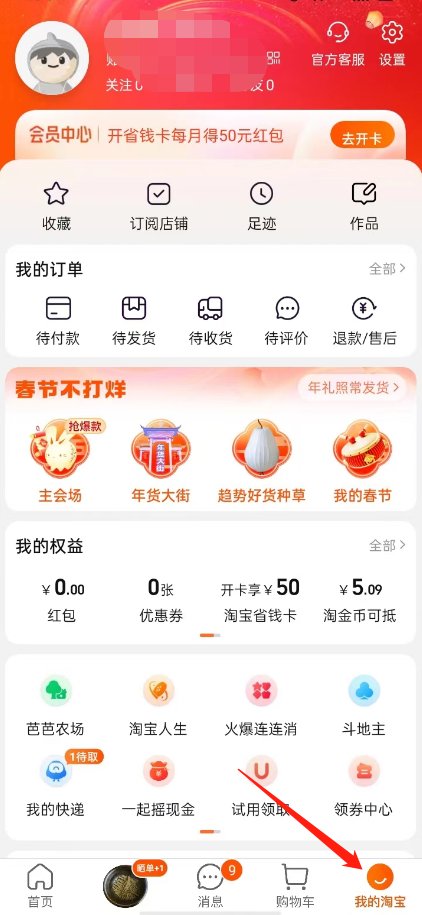 淘宝上怎么不能用支付宝付款啊？