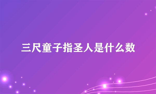 三尺童子指圣人是什么数
