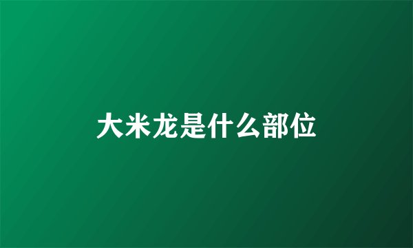 大米龙是什么部位