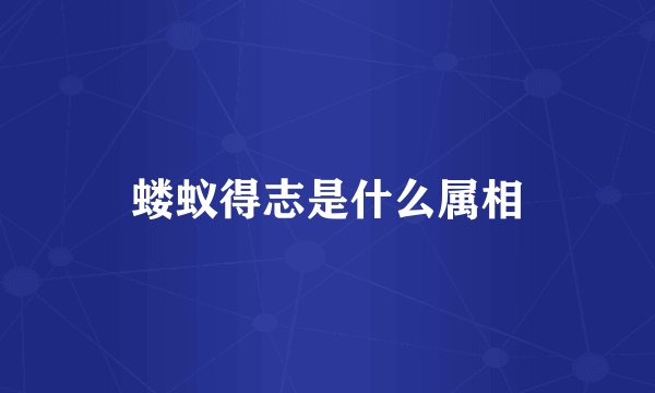蝼蚁得志是什么属相