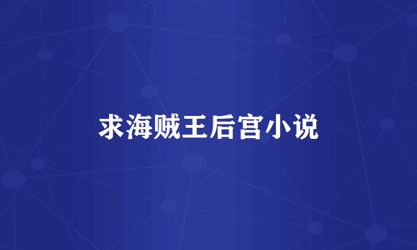 求海贼王后宫小说