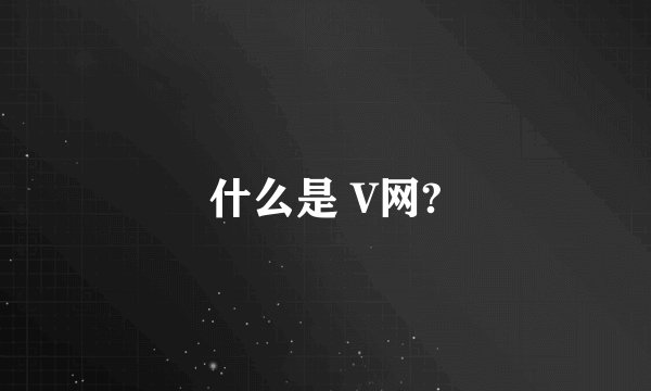 什么是 V网?