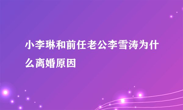 小李琳和前任老公李雪涛为什么离婚原因