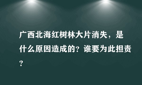 广西北海红树林大片消失，是什么原因造成的？谁要为此担责？