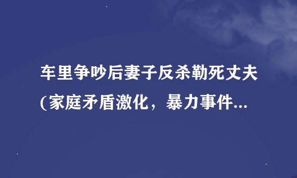 车里争吵后妻子反杀勒死丈夫(家庭矛盾激化，暴力事件再次发生)