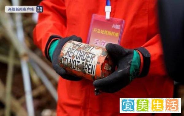 发现点确认！藏树根下的黑匣子今天送往北京