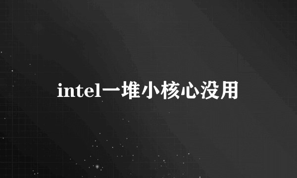 intel一堆小核心没用