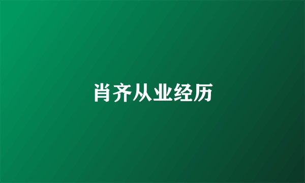 肖齐从业经历