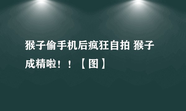 猴子偷手机后疯狂自拍 猴子成精啦！！【图】