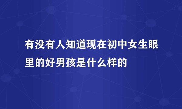 有没有人知道现在初中女生眼里的好男孩是什么样的