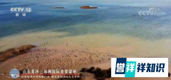卫星视角感受湿地保护成效 这是咋情况？