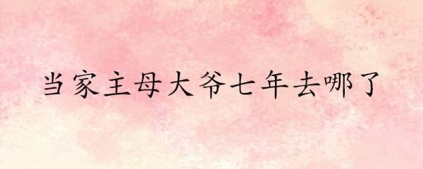 当家主母大爷七年去哪了