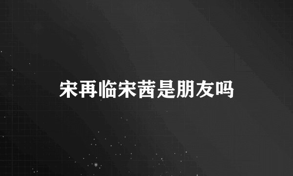 宋再临宋茜是朋友吗