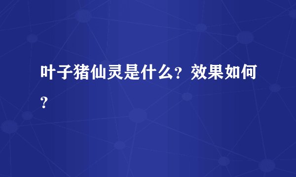 叶子猪仙灵是什么？效果如何？