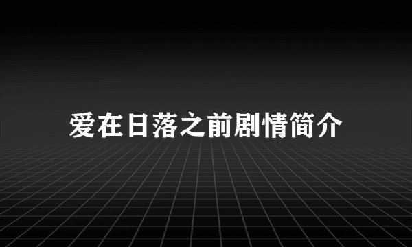 爱在日落之前剧情简介