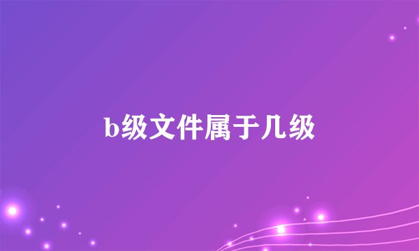 b级文件属于几级