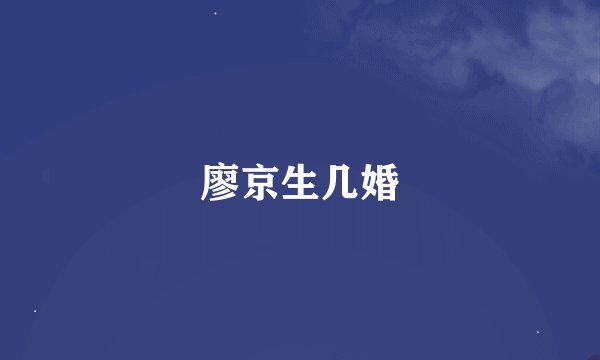 廖京生几婚